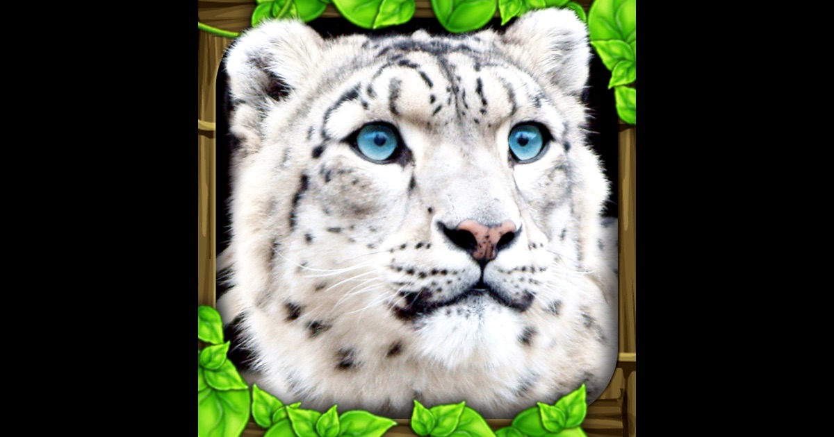 mac os x version 10.6 8 snow leopard reinstalling